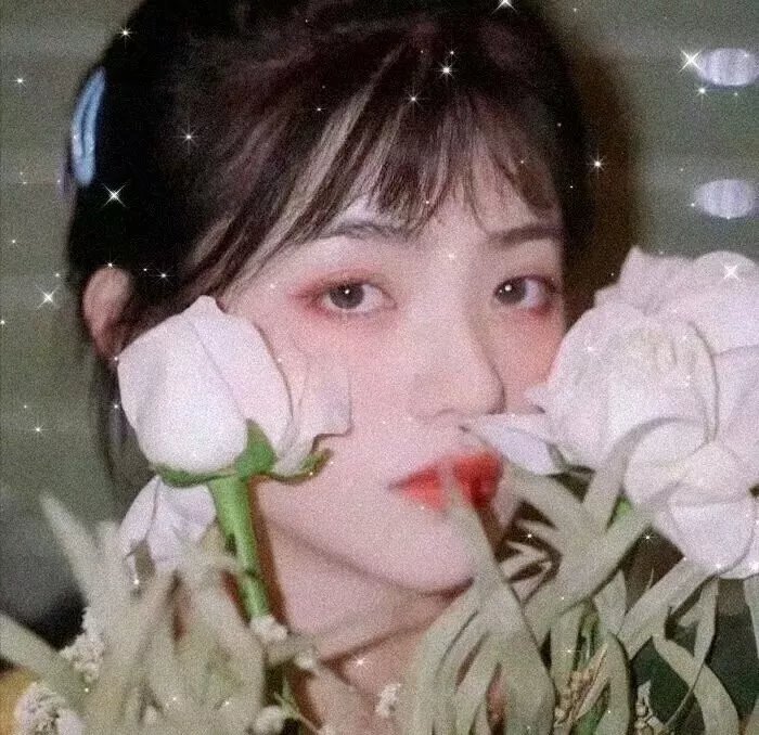红伶劫